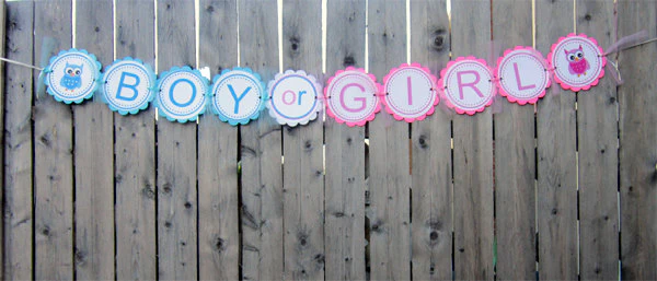 Gender Reveal Parties